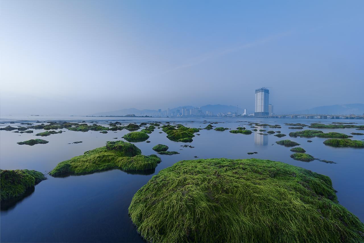 Zen Hotel Nha Trang Bagian luar foto